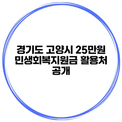 경기도 고양시 25만원 민생회복지원금 활용처 공개