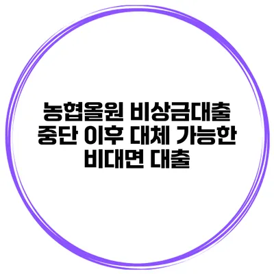 농협올원 비상금대출 중단 이후 대체 가능한 비대면 대출