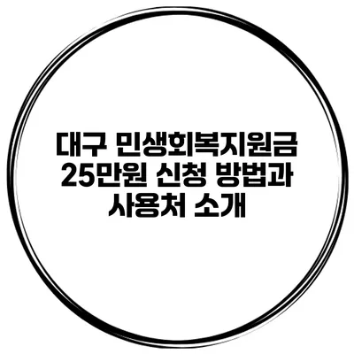 대구 민생회복지원금 25만원 신청 방법과 사용처 소개