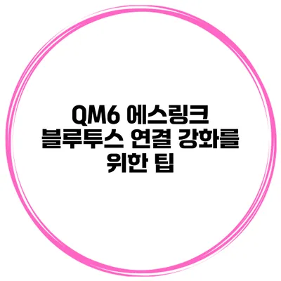 QM6 에스링크 블루투스 연결 강화를 위한 팁