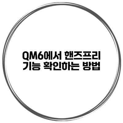 QM6에서 핸즈프리 기능 확인하는 방법
