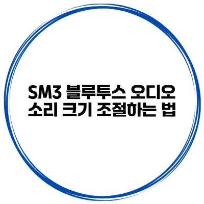 SM3 블루투스 오디오 소리 크기 조절하는 법