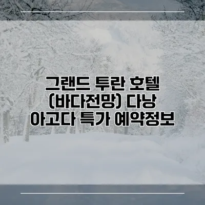 그랜드 투란 호텔 (바다전망) 다낭 아고다 특가 예약정보