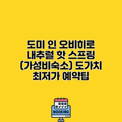 도미 인 오비히로 내추럴 핫 스프링 (가성비숙소) 도가치 최저가 예약팁