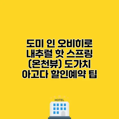 도미 인 오비히로 내추럴 핫 스프링 (온천뷰) 도가치 아고다 할인예약 팁