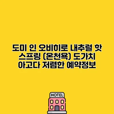 도미 인 오비히로 내추럴 핫 스프링 (온천욕) 도가치 아고다 저렴한 예약정보