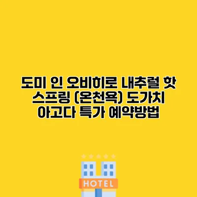 도미 인 오비히로 내추럴 핫 스프링 (온천욕) 도가치 아고다 특가 예약방법