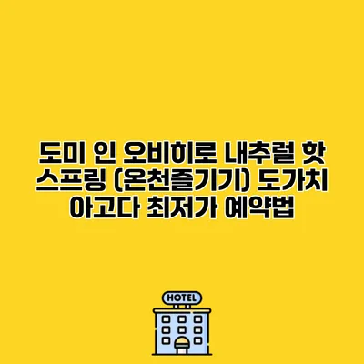 도미 인 오비히로 내추럴 핫 스프링 (온천즐기기) 도가치 아고다 최저가 예약법