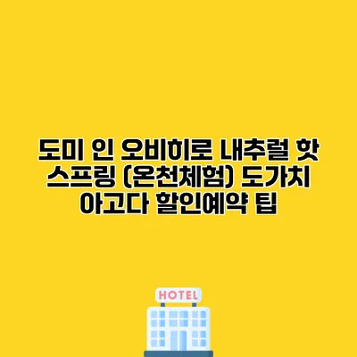 도미 인 오비히로 내추럴 핫 스프링 (온천체험) 도가치 아고다 할인예약 팁
