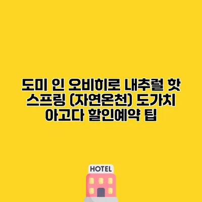 도미 인 오비히로 내추럴 핫 스프링 (자연온천) 도가치 아고다 할인예약 팁