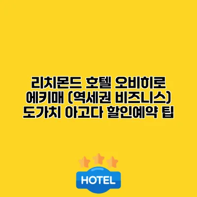 리치몬드 호텔 오비히로 에키매 (역세권 비즈니스) 도가치 아고다 할인예약 팁
