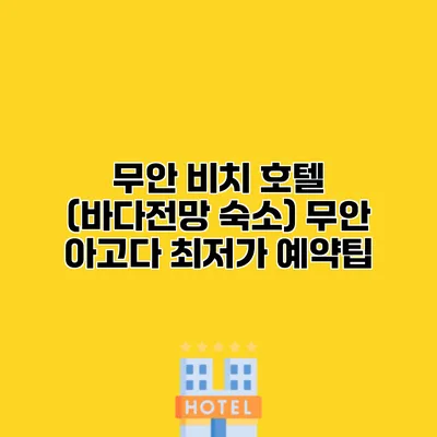 무안 비치 호텔 (바다전망 숙소) 무안 아고다 최저가 예약팁