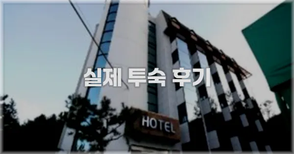 💬 실제 투숙 후기