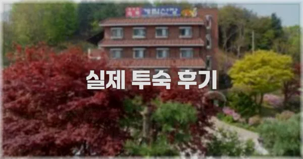 💬 실제 투숙 후기