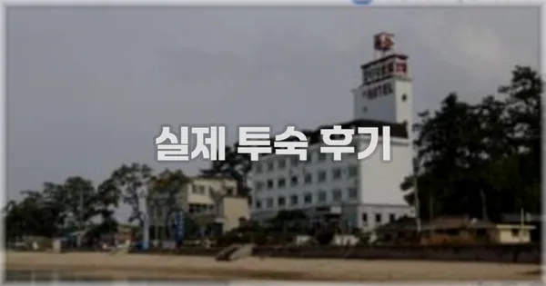 💬 실제 투숙 후기