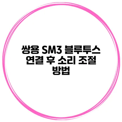 쌍용 SM3 블루투스 연결 후 소리 조절 방법