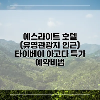 에스라이트 호텔 (유명관광지 인근) 타이베이 아고다 특가 예약비법