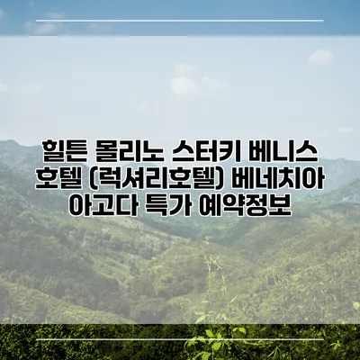 힐튼 몰리노 스터키 베니스 호텔 (럭셔리호텔) 베네치아 아고다 특가 예약정보