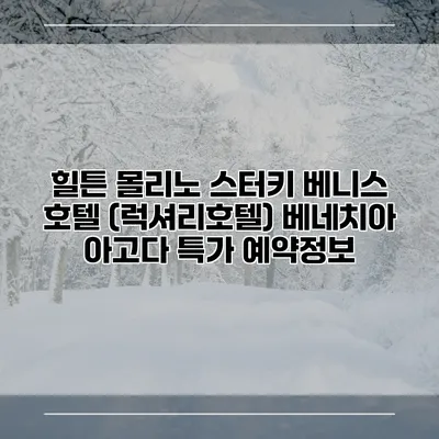 힐튼 몰리노 스터키 베니스 호텔 (럭셔리호텔) 베네치아 아고다 특가 예약정보